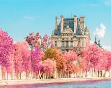 广东宏远历年阵容 广东宏远历年阵容